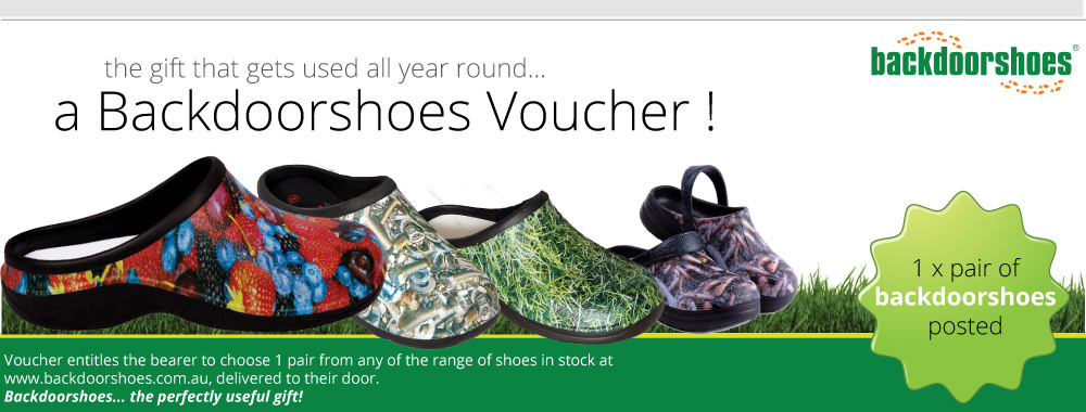 backdoor shoes discount code