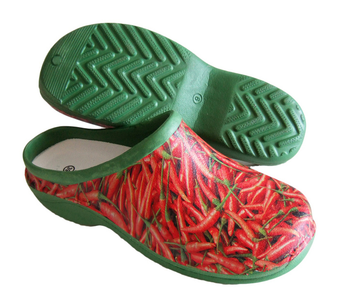 Buy Hot Chilli Backdoorshoes online