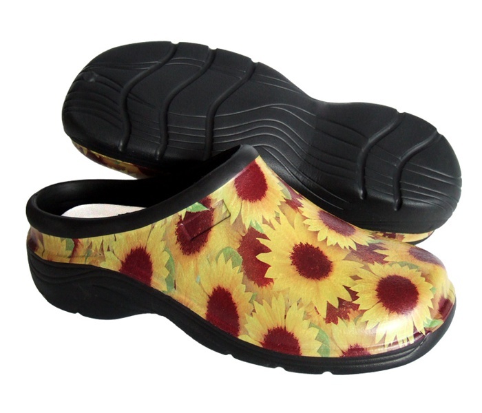 Buy Sunflowers Shedshoes online